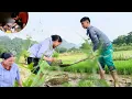 Download Lagu A Thanh's mother went to work but was very worried about A Say.