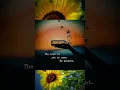 Download Lagu #patience #sunflower #yes #lucky #newday #coldplay #bestyettocome #hope #chinup #mindsetmatters