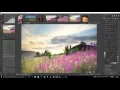 Basic Editing in Raw Therapee