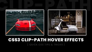CSS Clip-path Image Hover Effects Html CSS