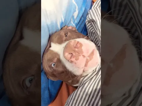 @Kotomama_official по промокоду Dogamaru -50% на любое изделие (действует сутки)❤️