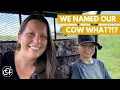 Farm Life Up Close Tour Name Reveal of All Our Animals Crossing Creeks Farm