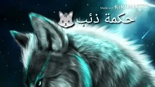 اجمل حالات واتس اب عن الذئب 