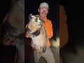 Download Lagu Name this animal…wrong answers only 🦡 #redneck #liveaction #barehand #adrenaline #westernelevation