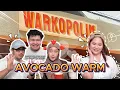 Download Lagu MAKE WARM AVOCADO LIKE WARKOPOLIM!! DOES INDIRA CHEW CATERPILLARS??!!