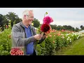 Episode A Flower Arrangers Best Friend J Schwanke s Life in Bloom 1080p