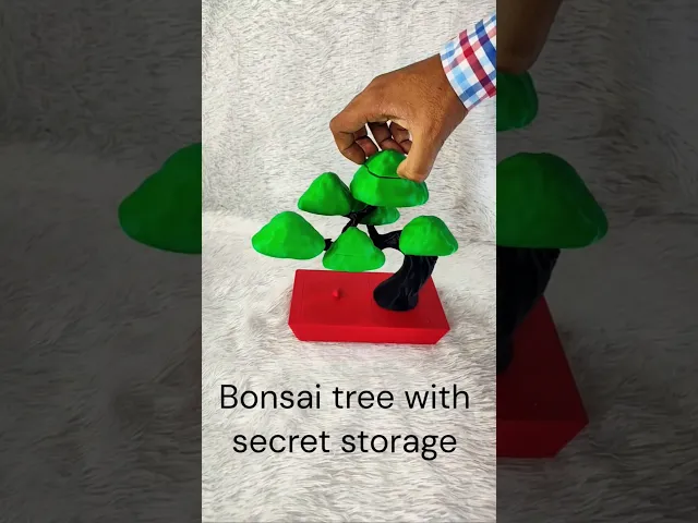 Secret Storage Bonsai Organizer (7 compartments) video thumbnail