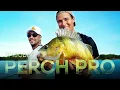 Download Lagu PERCH PRO 11 - Episode 1