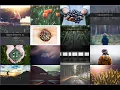Image Hover Effects html and Css bootstrap use