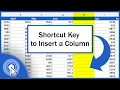 Shortcut Key to Insert a Column in Excel Excel Shortcuts