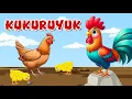 Download Lagu Kukuruyuk | Ayam Kukuruyuk | Lagu Anak Anak | Lagu Anak Anak Indonesia