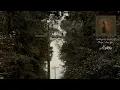 Ethel Cain - Nettles (Official Visualizer)