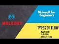 Session 4 Types of flow in Mule 4