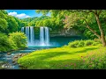 Download Lagu Zachte muziek, kalmeert het zenuwstelsel en behaagt zielhelende muziek