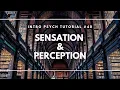 Introduction to Sensation and Perception Intro Psych Tutorial