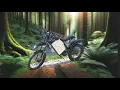 Vector Vortex trail ride