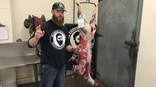 How to Dry-Age a Deer Carcass by The Bearded Butchers!