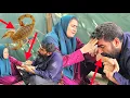 Download Lagu Maryam redden van een schorpioenensteek met Ali's kruidenmedicijn. Zal Maryam herstellen of niet?