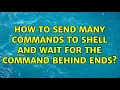 Unix Linux How to send many commands to shell and wait for the command behind ends