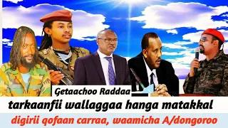 Tarkaanfii Wallaggaa Hanga Matakkal Digirii Qofaan Carraa Waamicha A Dongoroo 3 September 2025 