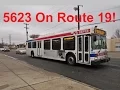 NeoplanDude SEPTA 2003 New Flyer D40LF On Route 19 To Torresdale Station
