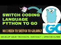 Switch Coding Language - Python to GO