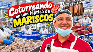 Cotorreando en una fábrica de mariscos