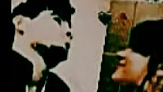 شوف شقد احبك 