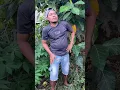 Download Lagu Mastran burung lucu viral kocak ngakak meme funny memes moments