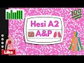 Hesi A2 A P Review 2025-2026