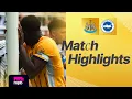 HIGHLIGHTS Newcastle v Brighton Premier League