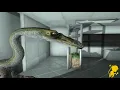 jMonkeyEngine 3 showcase