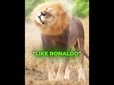 Ronaldo's Skills Are Just Like Animals' 🤯🐐
