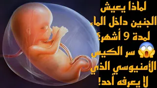 لماذا يعيش الجنين داخل الماء لمدة   أشهر    سر الكيس الأمنيوسي الذي لا يعرفه أحد  دندنها
