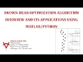 BROWN BEAR OPTIMIZATION ALGORITHM OVERVIEW AND ITS APPLICATIONS USING MATLAB-PYTHON