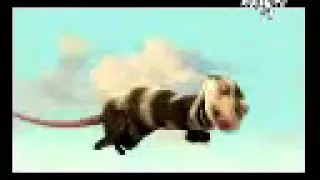 زهرة زهرة شوفي راني طاير خخخـ 