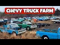 Welcome To The Truck Farm Chevy Trucks