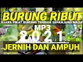 Download Lagu SUARA PIKAT BURUNG KECIL RIBUT~TERBARU DAN JERNIH 2021