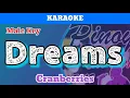 Dreams by Cranberries (Karaoke : Male Key)