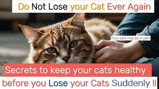 Secrets to keep your cats healthy before you lose your cats !