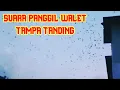 Download Lagu SUARA PANGGIL!!! WALET TAMPA TANDING