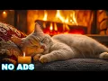 Download Lagu Cozy Cat Music Healing 😻 Cat music relax \u0026 Crackling Fireplace for Deep Sleep 🔥🎶 Cat tv fireplace 4k