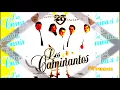 Los Caminantes - Supe Perder (Canción Completa)