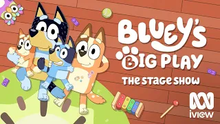 Bluey s Big Play is coming to ABC iview ABC Kids