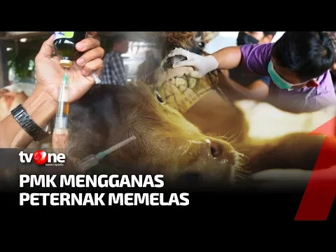 [FULL] PMK Mengganas, Peternak Memelas | Fakta