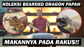 REPTIL PALING WOLES UNTUK DIPELIHARA 😂