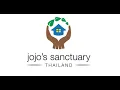 Download Lagu Jojo's Sanctuary Update May 2021