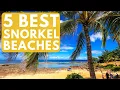 5 Best Snorkel Spots on Oahu Hawaii swim with turtles safety tips and snorkeling tours