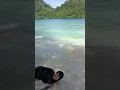 Lagu TERSAPU OMBAK PANTAI PESUMPAHAN
