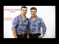 Lagu Zorile din Galati - Papagalu (PARODIE)